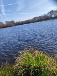 Krumstedt (Sandberg)-1