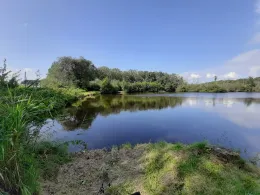 Krumstedt (Sandberg)-2