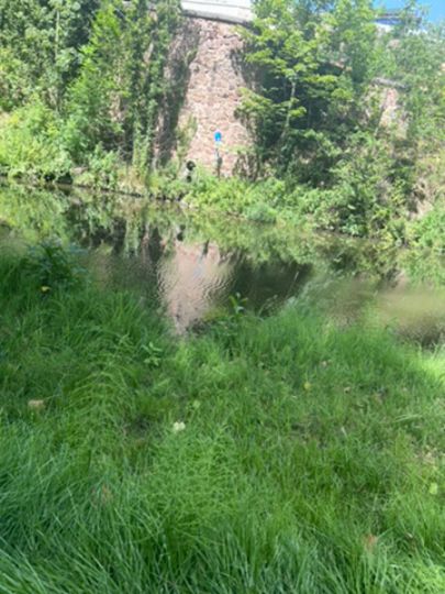 Freiberger Mulde (Döbeln)-4