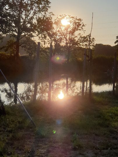 Freiberger Mulde (Döbeln)-2