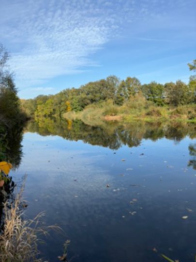 Freiberger Mulde (Döbeln)-3