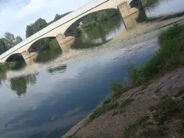 Freiberger Mulde (Döbeln)