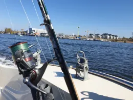 Breitling (Rostock)-1