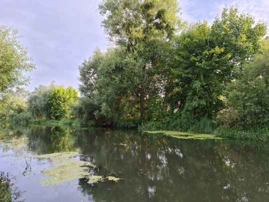 Wriezener Alte Oder (Wriezen)-2