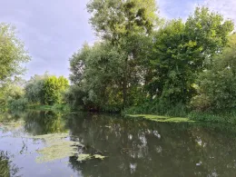 Wriezener Alte Oder (Wriezen)-2