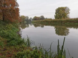 Wriezener Alte Oder (Wriezen)-1