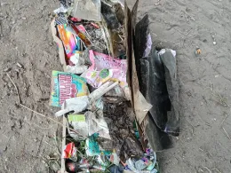 Wriezener Alte Oder (Wriezen)