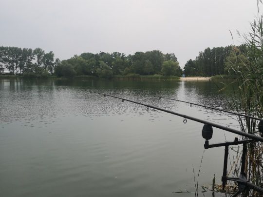 Tonsee (Mittenwalde) angeln