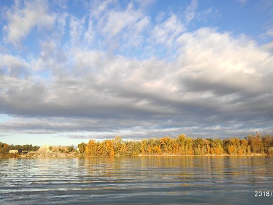 Peterhafen / Peterkanal (Rheinau)-1