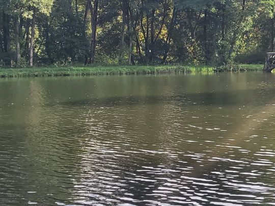 Herrenwiesenweiher (Birstein)-3