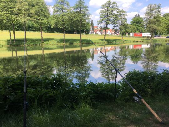 Herrenwiesenweiher (Birstein)-4