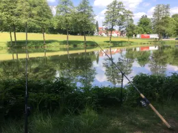 Herrenwiesenweiher (Birstein)-4