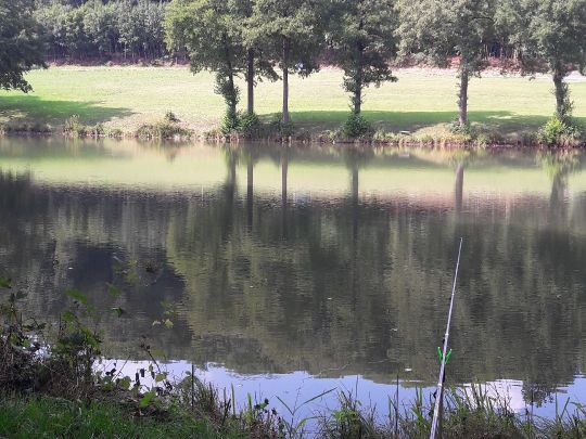 Herrenwiesenweiher (Birstein)-2