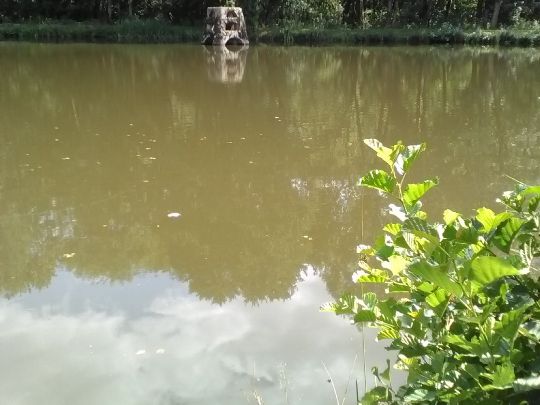 Herrenwiesenweiher (Birstein)-1