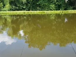 Fischzucht Weller-4