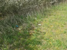 Großer Kuhsee (Gramzow)