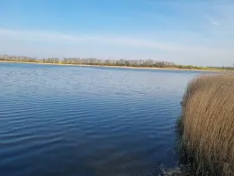 Lebbiner Bodden (Neuenkirchen)