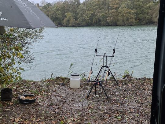 Rhein (Plittersdorf-Steinmauern)-1