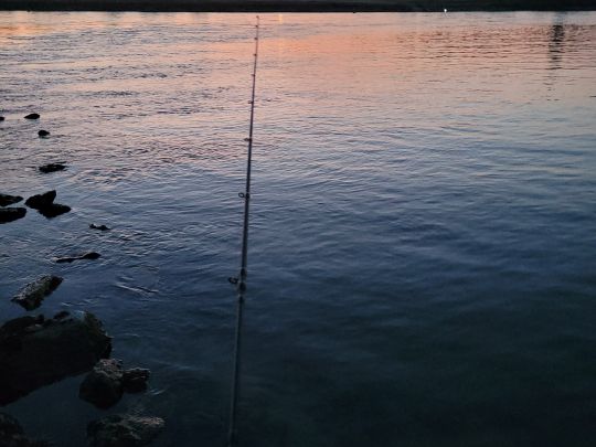 Rhein (Plittersdorf-Steinmauern)-3