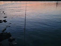 Rhein (Plittersdorf-Steinmauern)-3