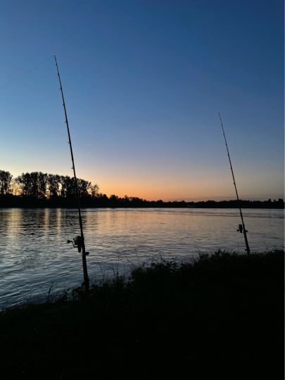 Rhein (Plittersdorf-Steinmauern)-2