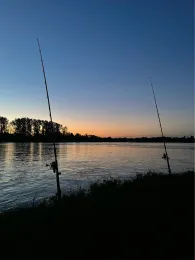 Rhein (Plittersdorf-Steinmauern)-2