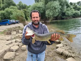 Rhein (Plittersdorf-Steinmauern)