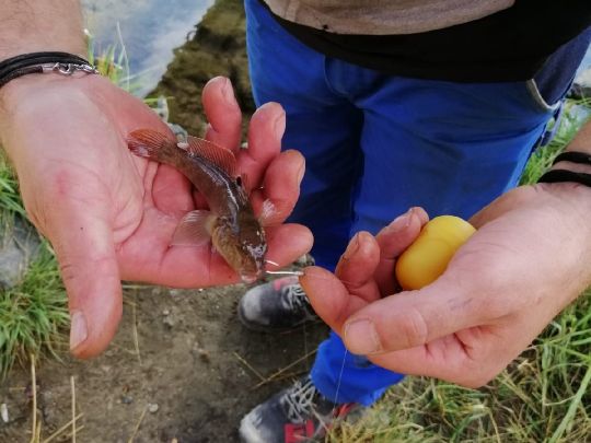 Stichkanal Salzgitter (Vechelde)-2