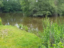 Vereinsteich ASV Büderich