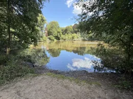Rückhaltebecken Sinstorf-1
