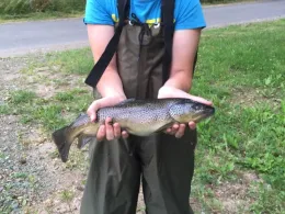 Felda (Stadtlengsfeld)-1