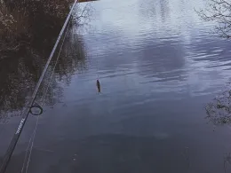 Havelkanal (Hennigsdorf)