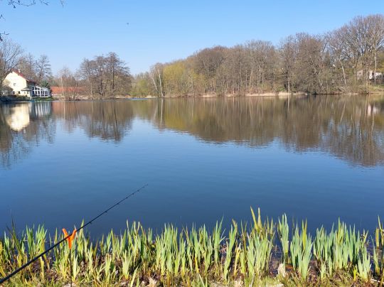 Gondelteich (Oppach)-2