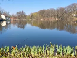 Gondelteich (Oppach)-2