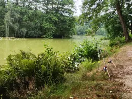 Gondelteich (Oppach)-3