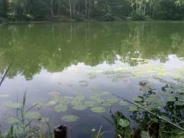 Klinkerteich (Bad Schmiedeberg)-3