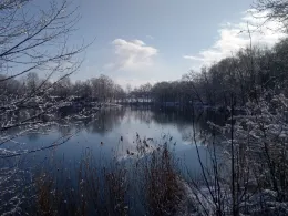 Klinkerteich (Bad Schmiedeberg)-4
