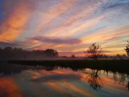 Spree (Hangelsberg)-3