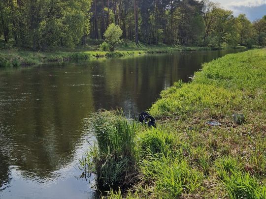 Spree (Hangelsberg)-4