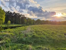 Spree (Hangelsberg)-2