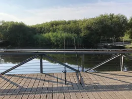 Wiesenpark Teich (Berlin Marzahn)-1