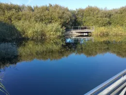 Wiesenpark Teich (Berlin Marzahn)-3