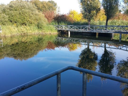 Wiesenpark Teich (Berlin Marzahn) ALLE ANGELN