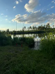 Peene (Netzow-Liepen)-3