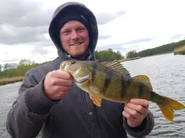 Peene (Netzow-Liepen)-1