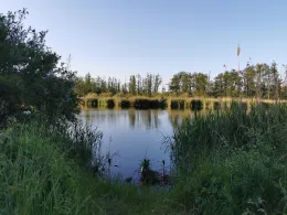 Peene (Netzow-Liepen)-2