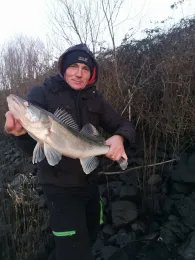 Rethe / Reiherstieg (Hamburg)-2