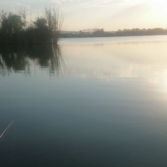 Riedsee (Geratal Kies) angeln