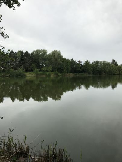 Großer See (Sonnenberg)-2