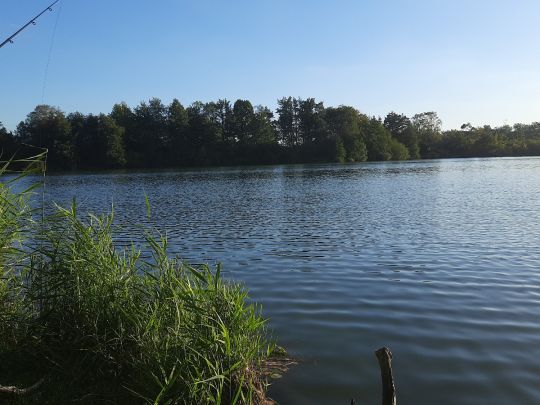 Großer See (Sonnenberg)